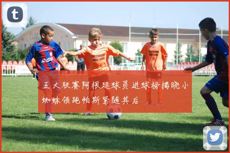 五大联赛阿根廷球员进球榜揭晓小蜘蛛领跑帕斯紧随其后