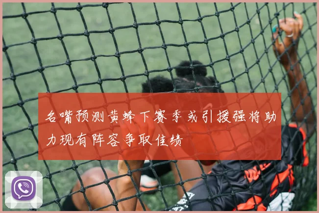 名嘴预测黄蜂下赛季或引援强将助力现有阵容争取佳绩